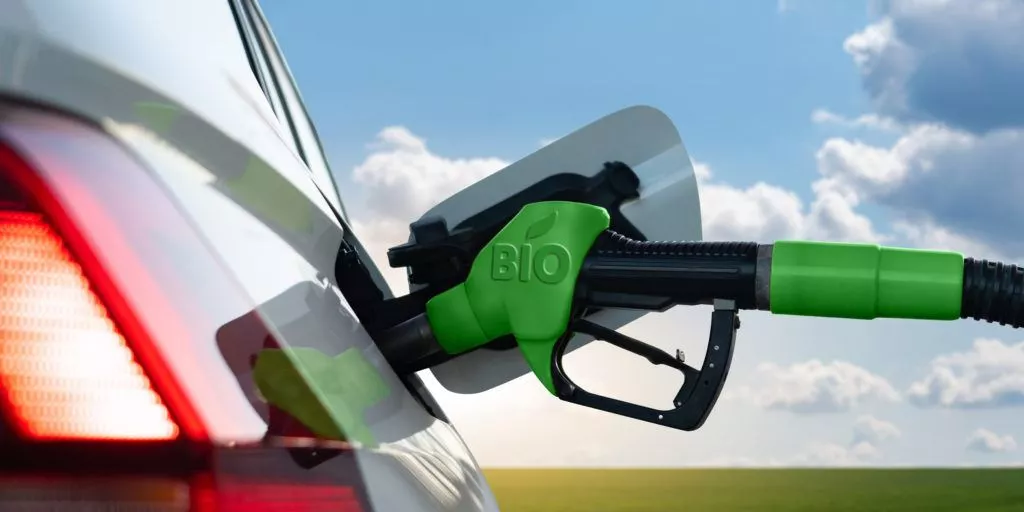 MAES BIODIESEL HVO