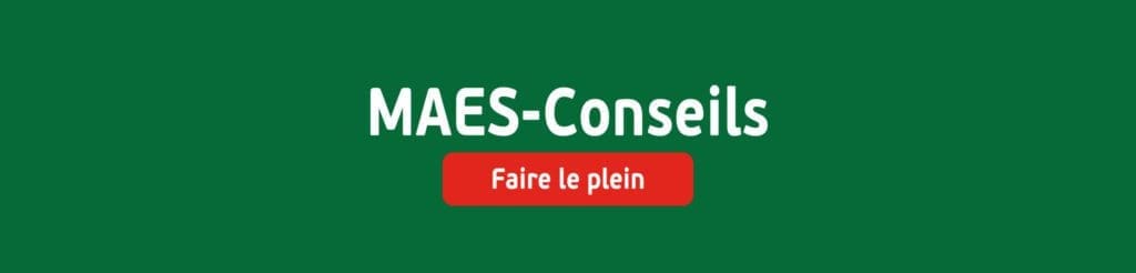 MAES Conseils